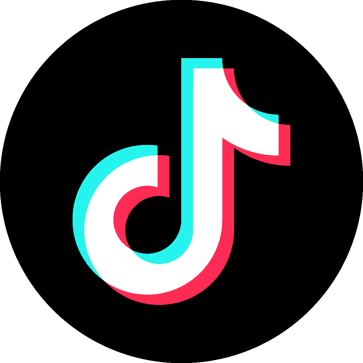 TikTokLink